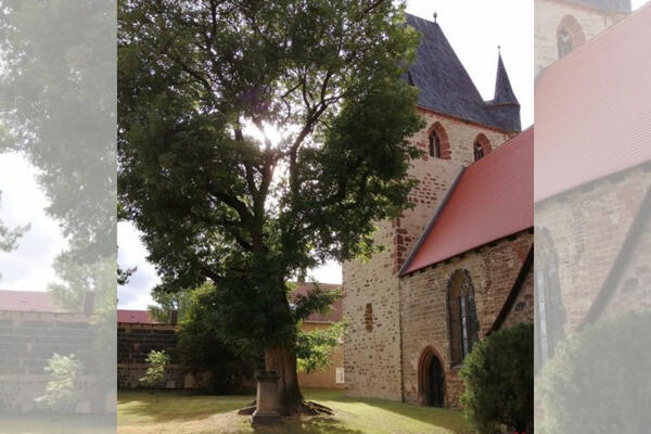 Wigbertkirche in Osterhausen